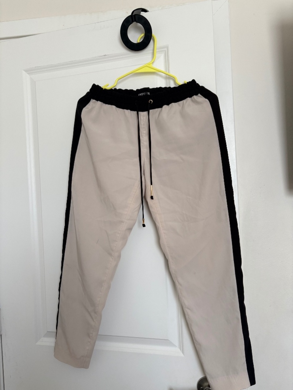 Express jogger pants